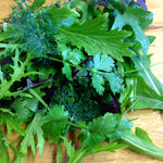 Salad Seeds Herb Mix -  Mixed Baby Leaves