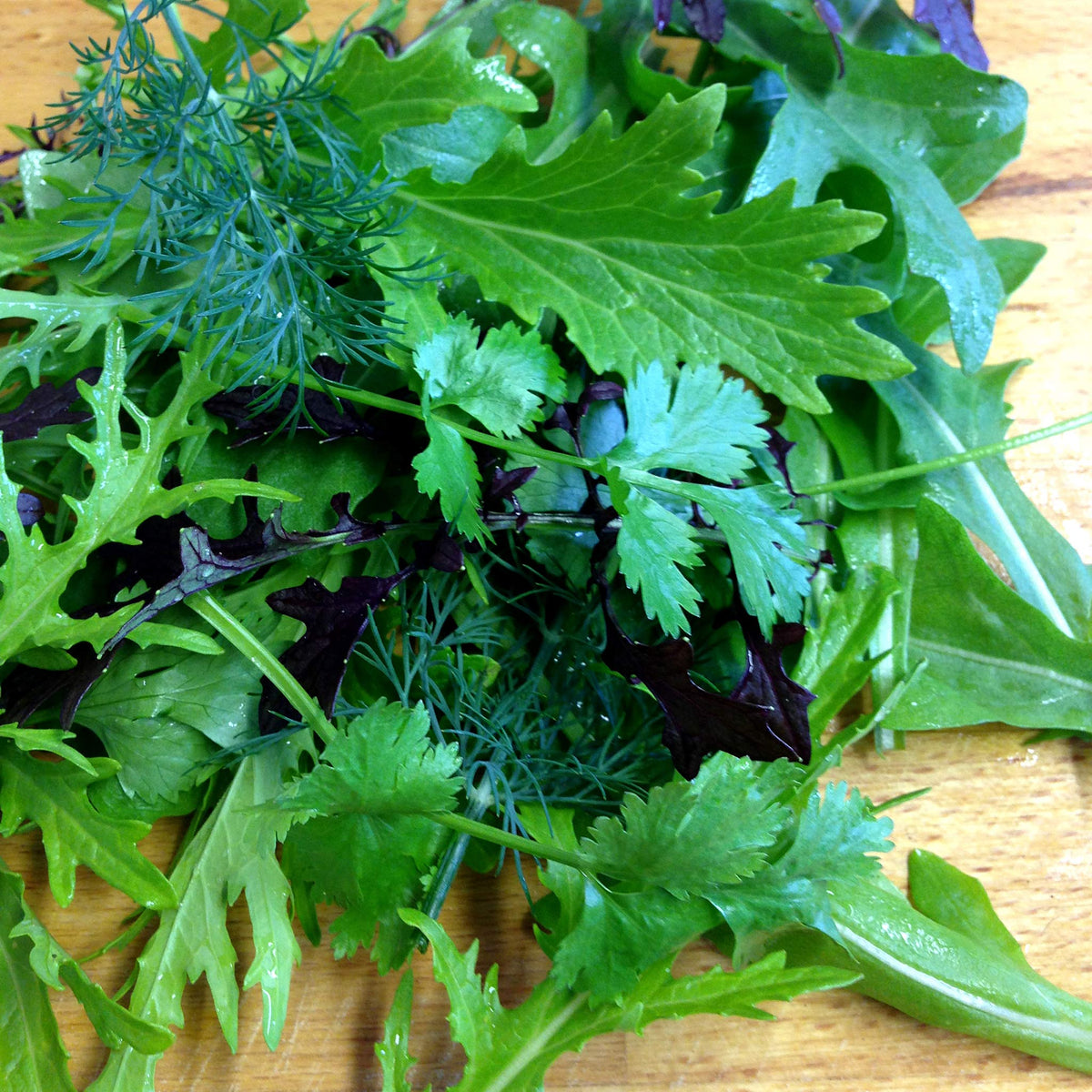 Salad Seeds Herb Mix -  Mixed Baby Leaves