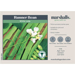 Runner Bean Duo 'firestorm' & 'white Lady' | 90 Seeds | Multi Colour