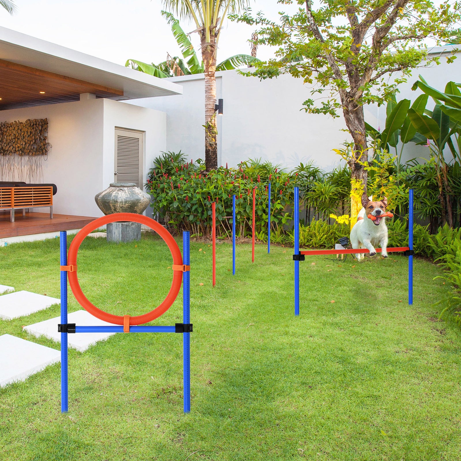 Pet Agility Set Training Dogs Outward Outdoor Play Hurdle Jump Hoop Pole