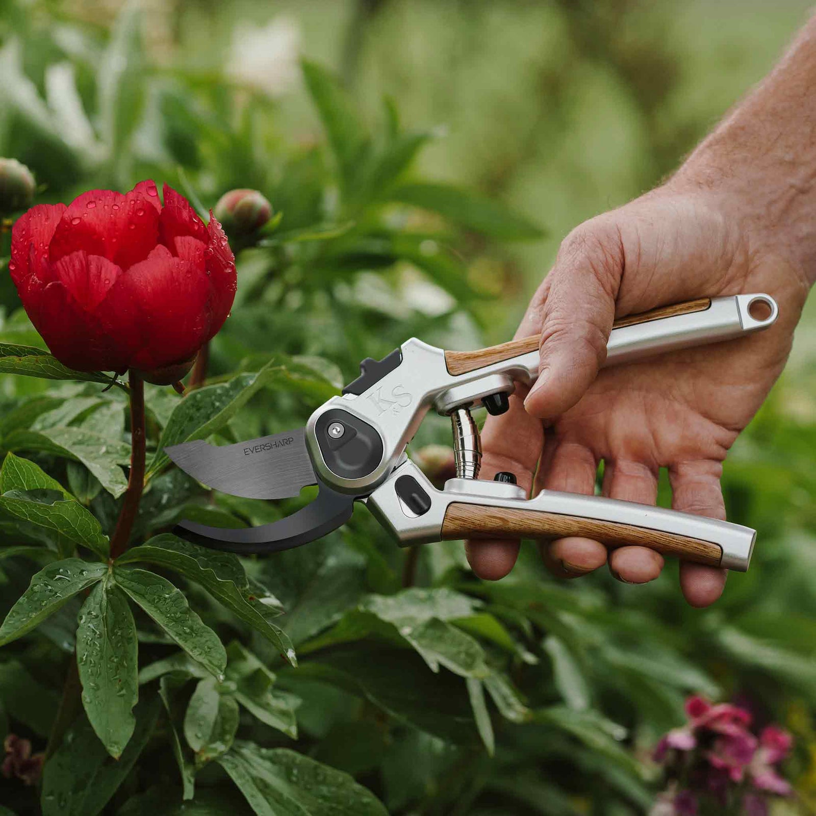 Eversharp™ Premium Secateurs Duo Gift Set