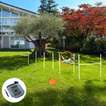 Dog Agility Equipment Obedience Training Set For Dogs - Multicoloured