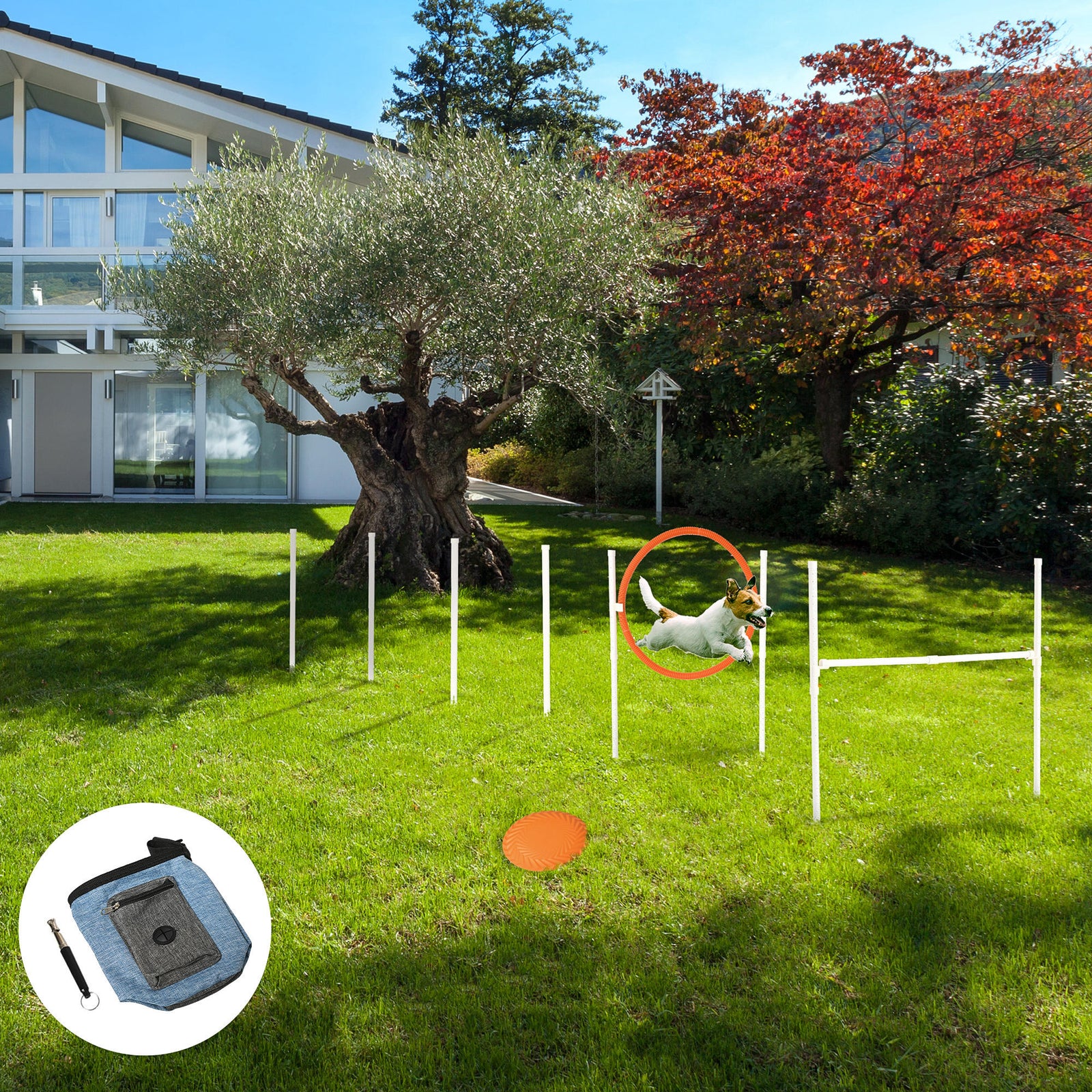 Dog Agility Equipment Obedience Training Set For Dogs - Multicoloured