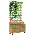 Wooden Planter Box With Trellis Natural