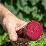Beetroot 'moneta' Monogerm Slow To Bolt | 200 Seeds
