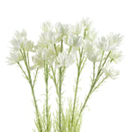 Pack Of 6 X 60cm White Starflower Stem - 30 Flowers