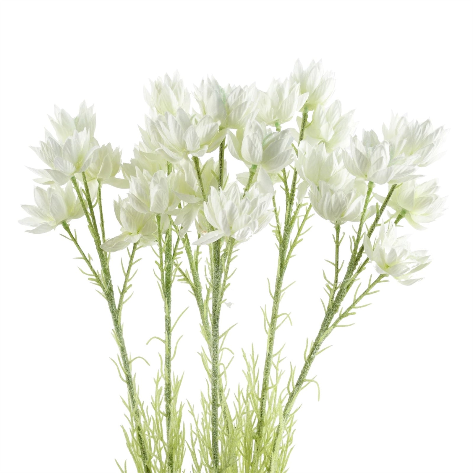 Pack Of 6 X 60cm White Starflower Stem - 30 Flowers