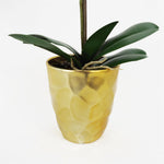 54cm Artificial Orchid Plant White With Gold Pot
