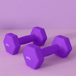 4kg Set Of 2 Dumbbells Hexagonal Weights Pair | Purple