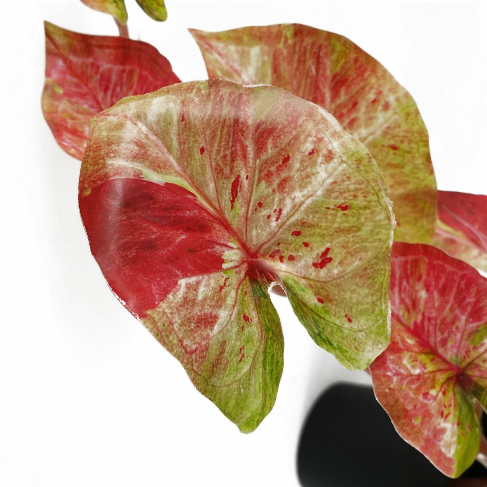 Artificial 35cm Trailing Hanging Plant Realistic Pink Splash Caladium