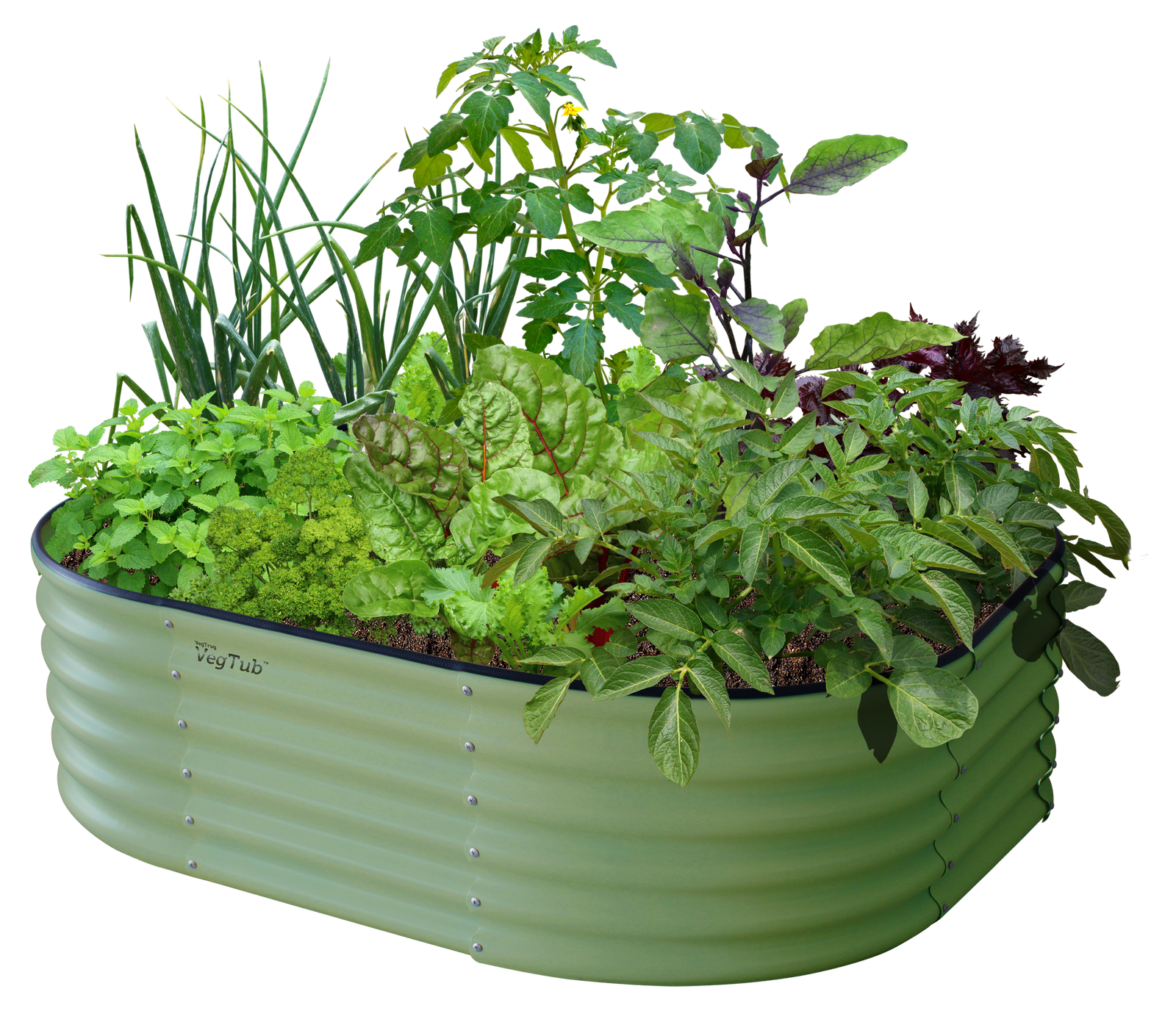 Modular Metal Raised Bed Kit | Green