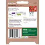 Strawberry Delician F1 | 10 Seeds