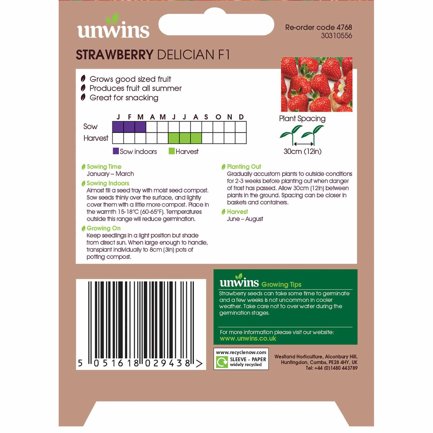 Strawberry Delician F1 | 10 Seeds
