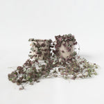 String Of Hearts - 2 Pcs. - Ceropegia Linearis Woodii - Height 20-30cm - ⌀14cm | Set-of-2 | Green