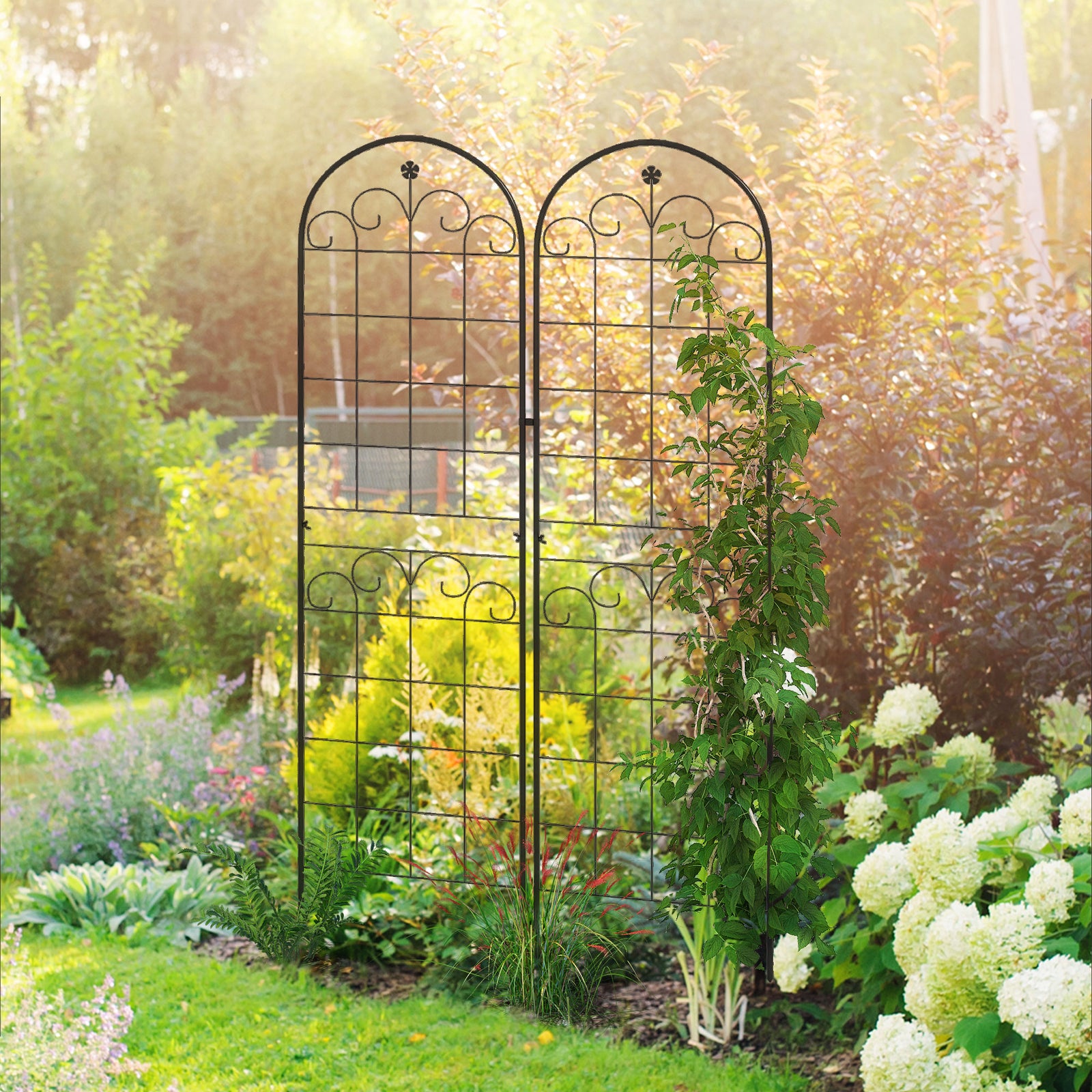 Floral Design 2 Metal Plant Trellis 50 X 180cm