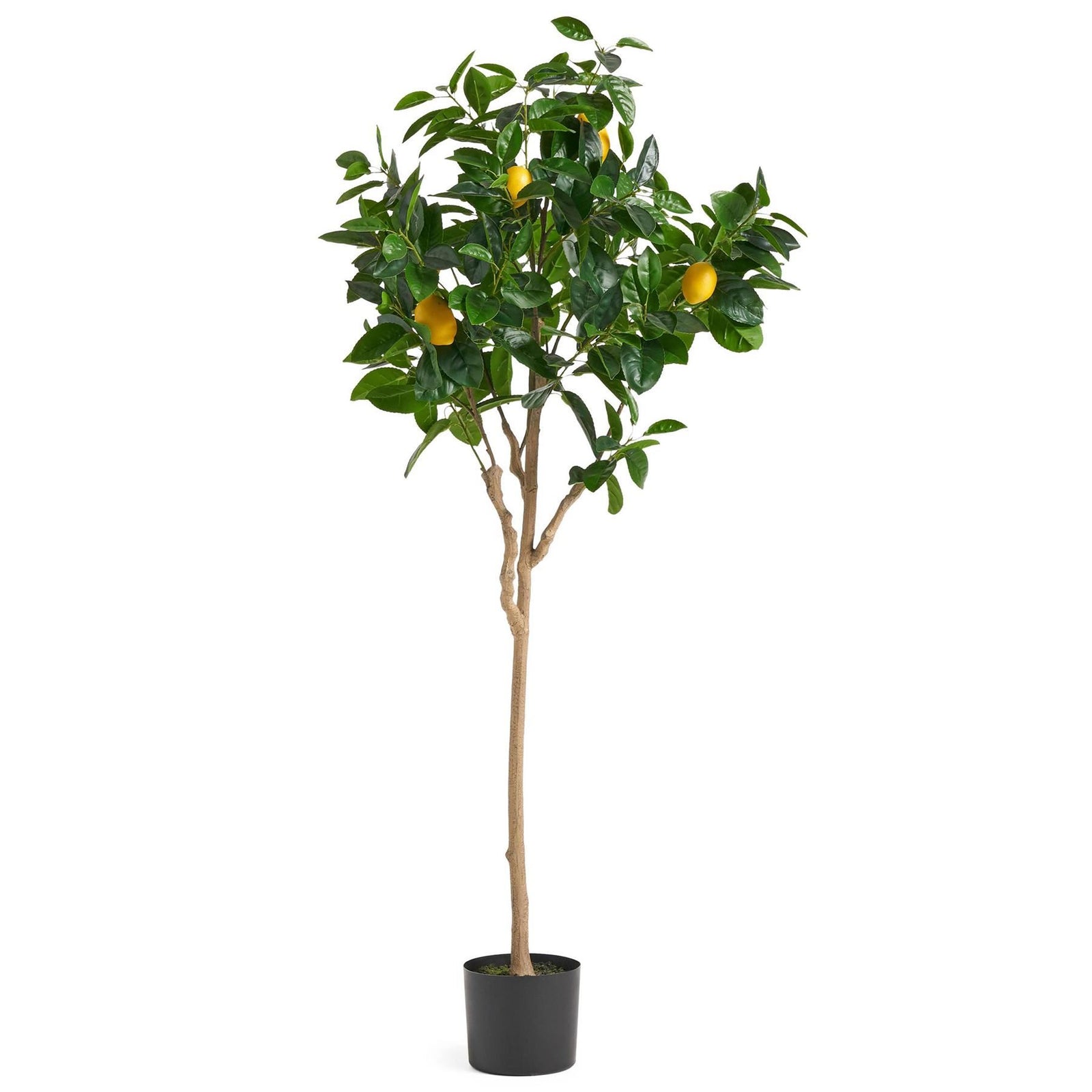 150cm Artificial Lemon Tree Premium