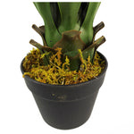 55cm Artificial Yucca Plant