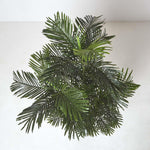 Multi Stem Green Palm Tree In Pot | 180cm | Green