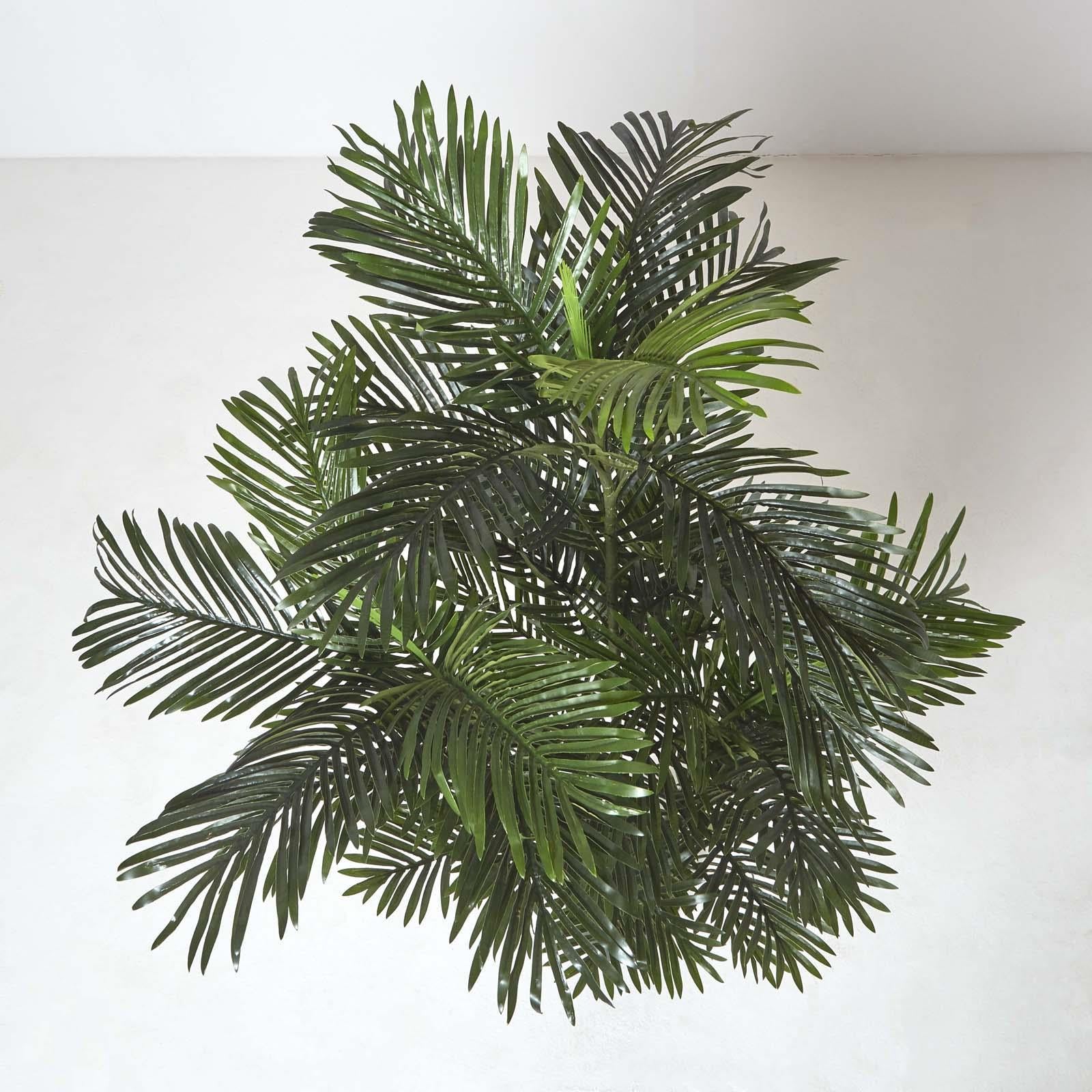 Multi Stem Green Palm Tree In Pot | 180cm | Green