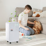 2l Portable Quiet Dehumidifier 12l Per Day Electric