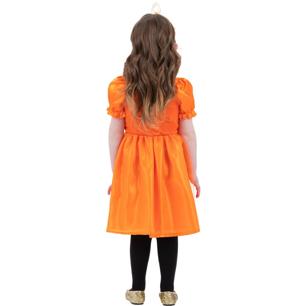 Pumpkin Costume | Age 3-4