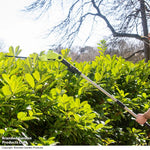12v Telescopic Hedge Trimmer & Two Batteries
