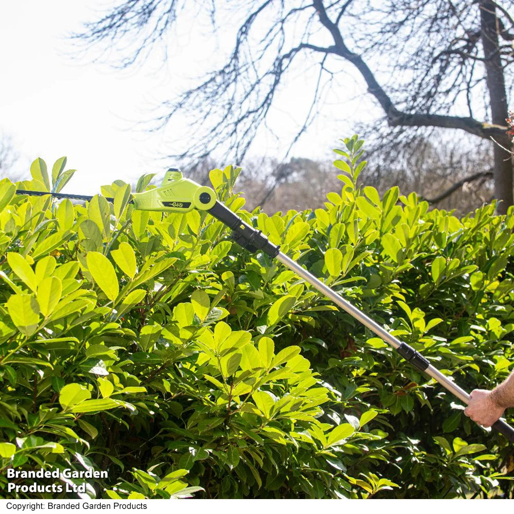 12v Telescopic Hedge Trimmer & Two Batteries