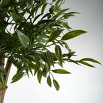 140cm Uv Resistant Ruscus Tree- 2716 Leaves