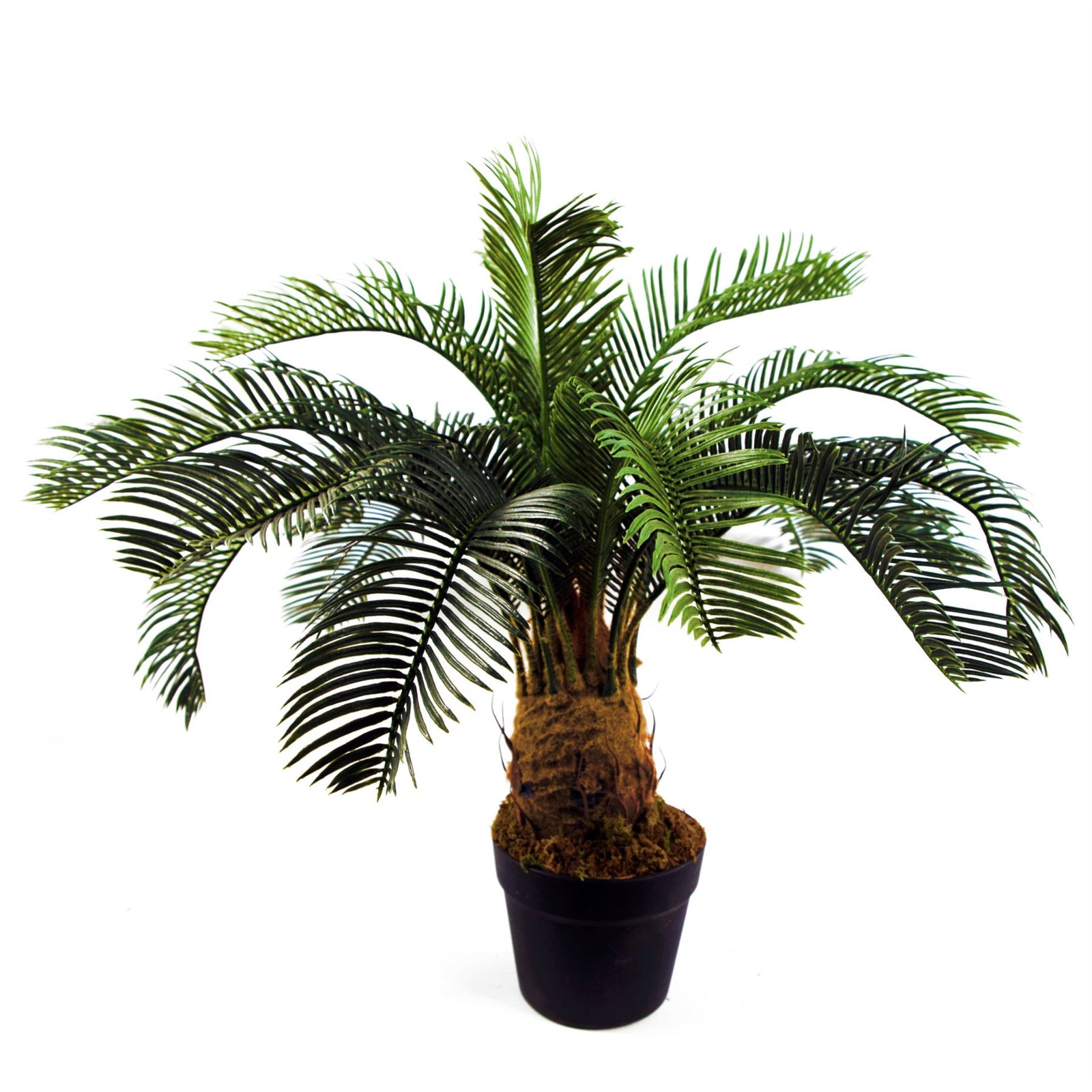 Large Artificial Palm Tree 60cm Cycas Plant Uk