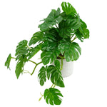 30cm Artificial Green Potted Monstera Garland