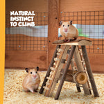 Hamster Wooden Climbing Wall