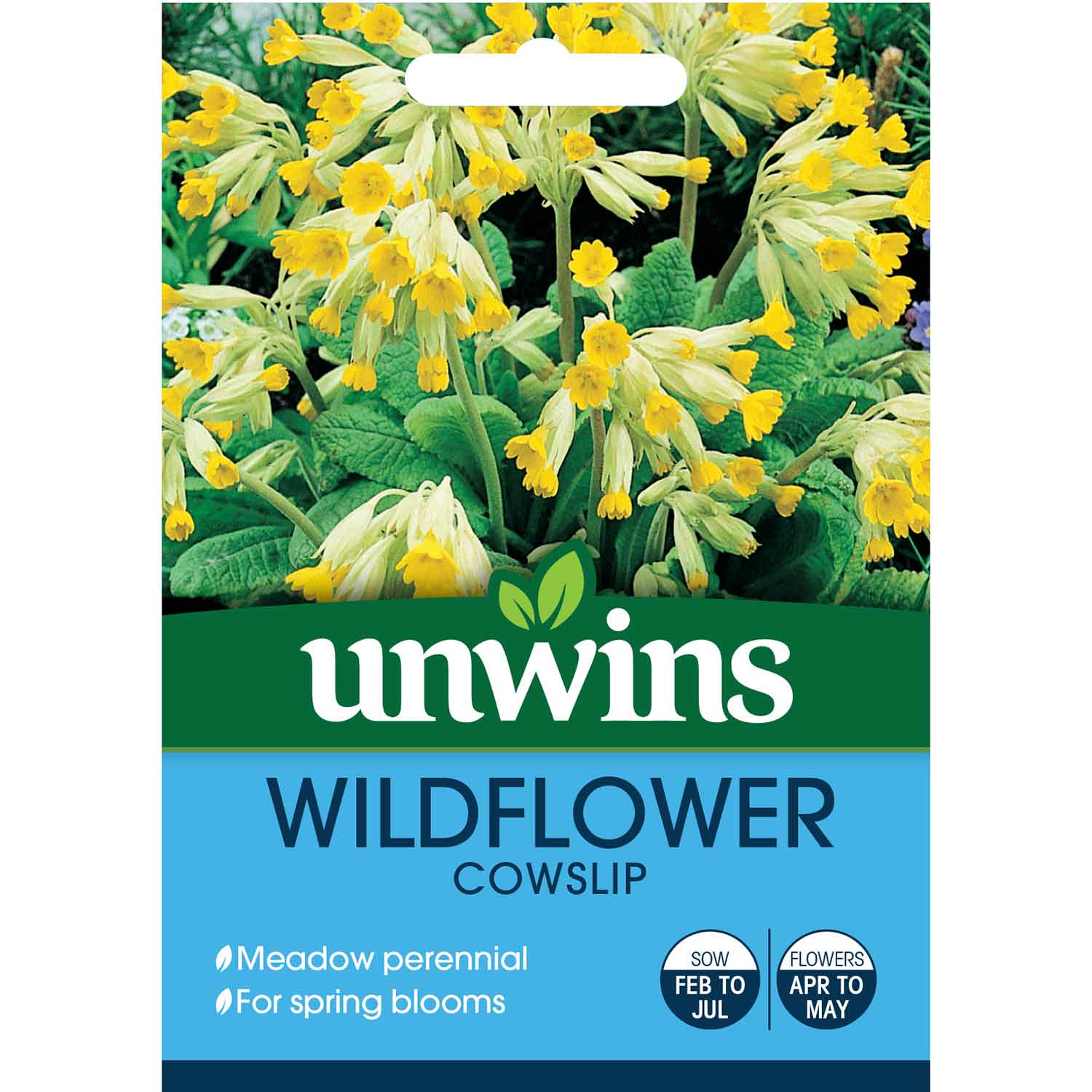 Cowslip Wildflower Seeds | 140 Seeds