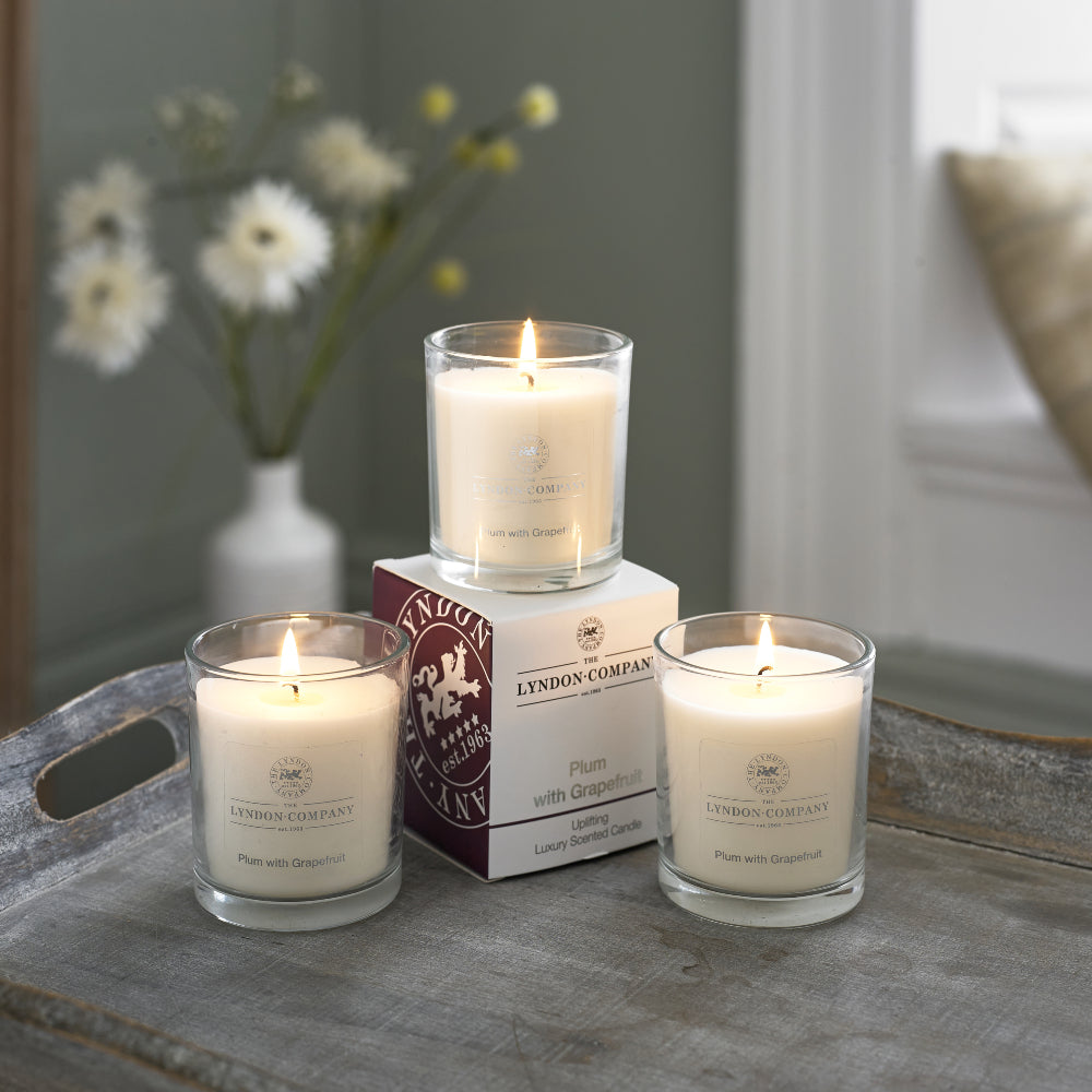 Luxurious Secented Glass Jar Candles | Set of 3 | Plum