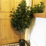 110cm Artificial Evergreen Twist Ficus Tree Silver Curve Planter