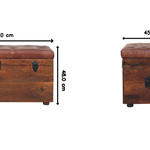 Solid Wood Brown Buffalo Hide Leather Storage Trunk
