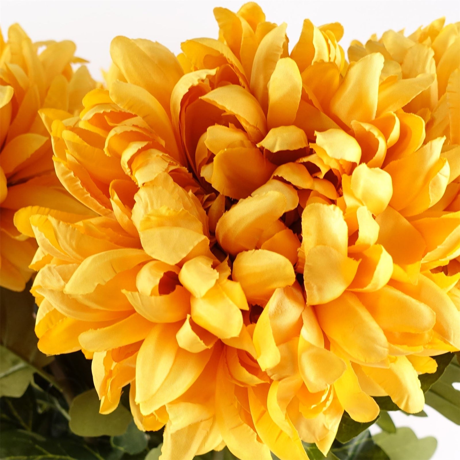 Pack Of 6 X 75cm Extra Large Reflex Chrysanthemum - Gold