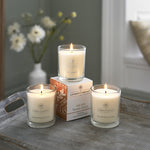 Luxurious Secented Glass Jar Candles | Set-of-3 | Orange