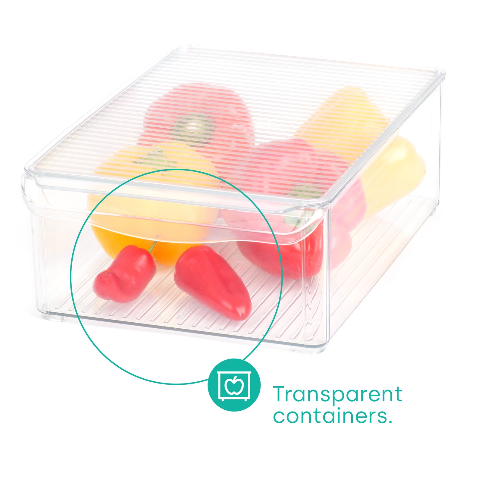 Fridge Storage Container - L