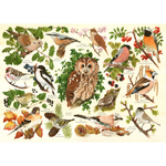 Woodland Birds - Big 500 Piece Jigsaw Puzzle For Adults, With Extra Large Pieces