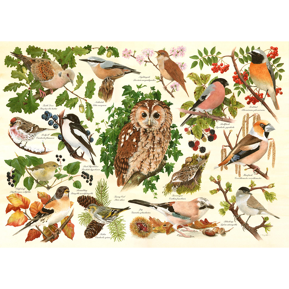 Woodland Birds - Big 500 Piece Jigsaw Puzzle For Adults, With Extra Large Pieces