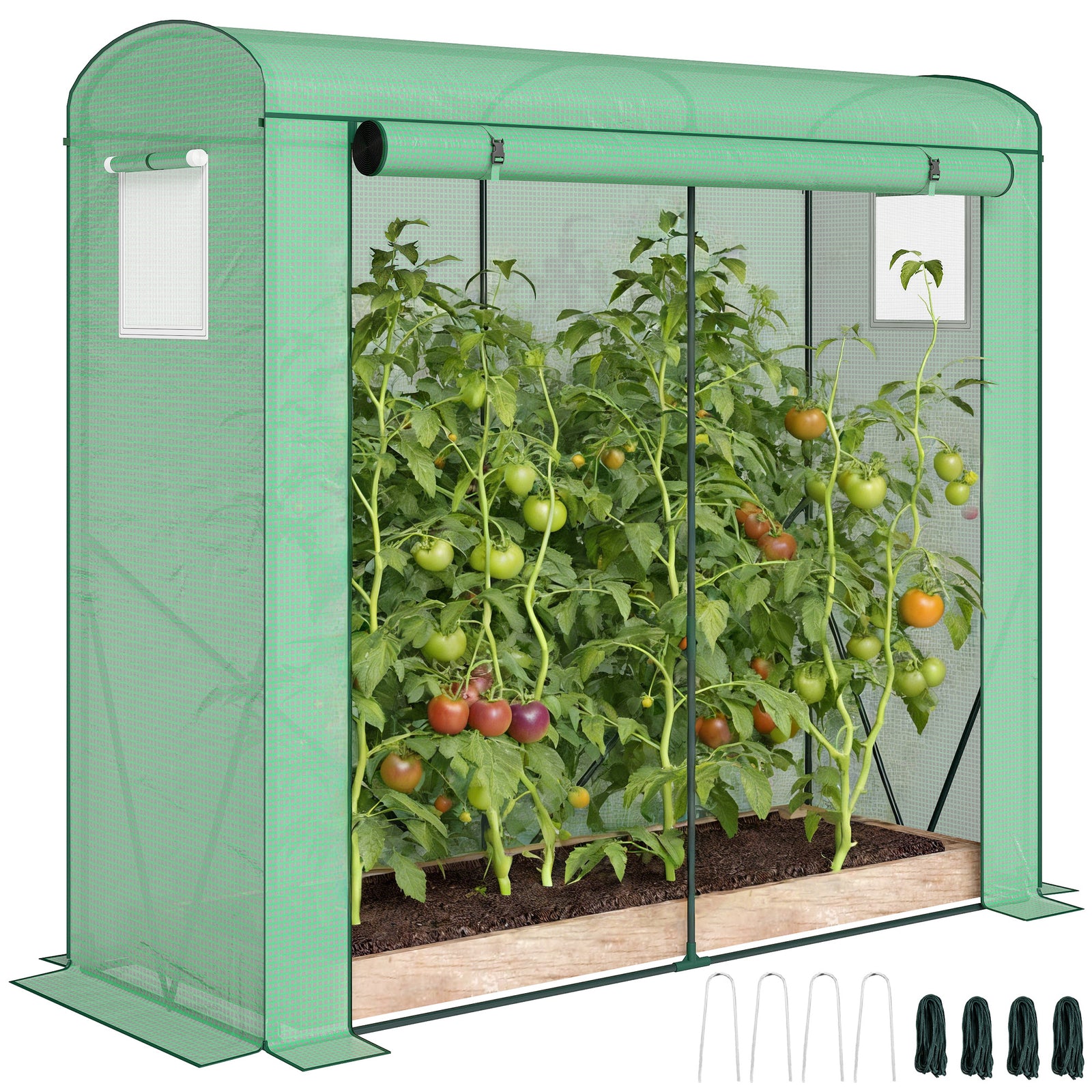 Mini Greenhouse, Portable Indoor Outdoor Green House With Pe Cover | Green
