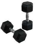 2x10kg Rubber Hex Dumbbells For Home Gym | Black