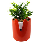 20cm Ceramic Orange Fox Planter With Artificial Foliage Plant