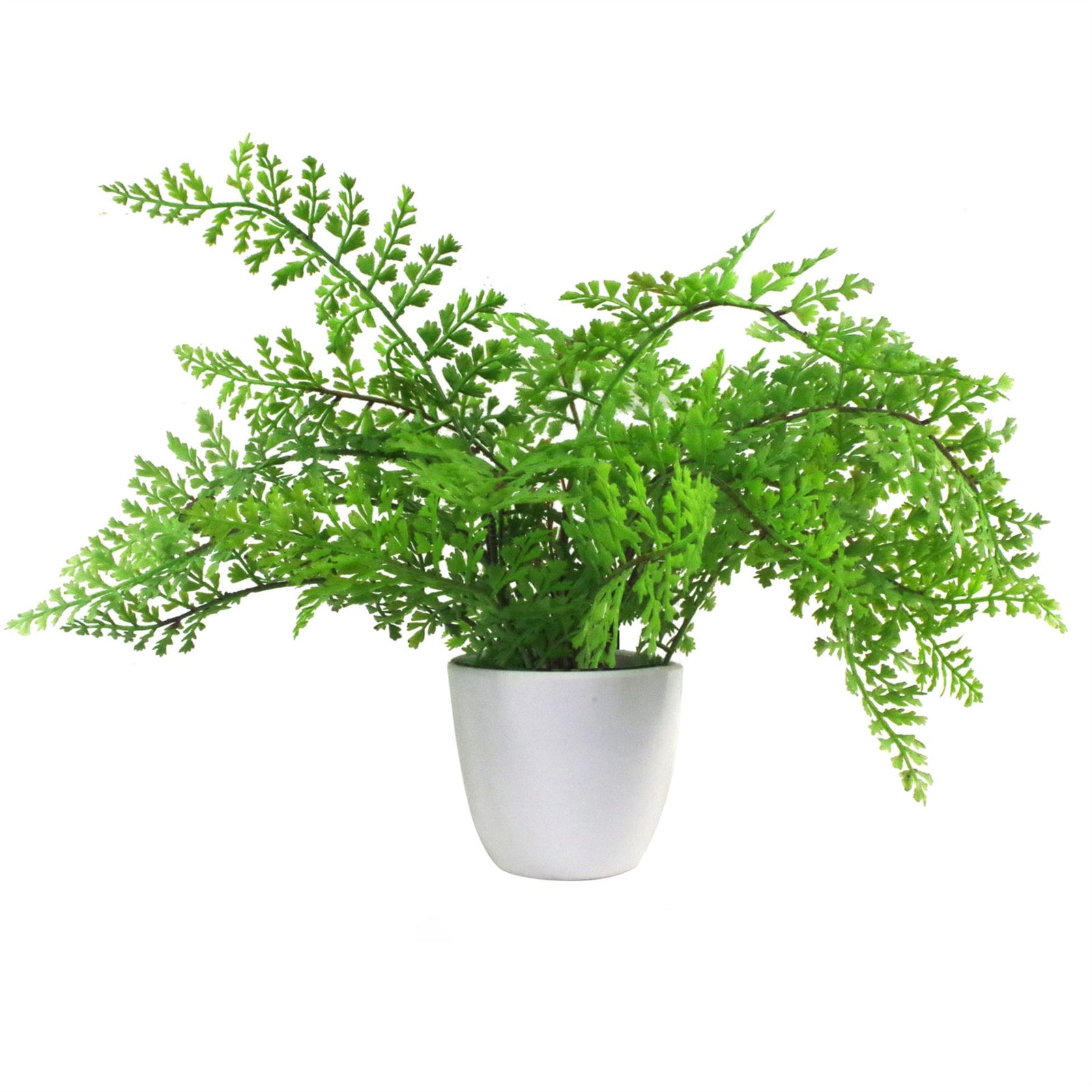 Artificial 30cm Potted Royal Fern