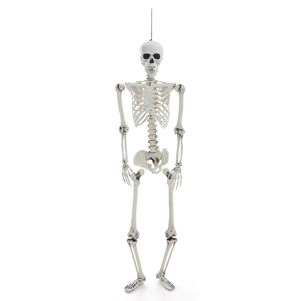 Halloween Realistic Full Body Skeleton Prop Decoration Posable Joints
