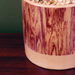 Artificial Cactus Plant Cacti In Ceramic Planter Botanik