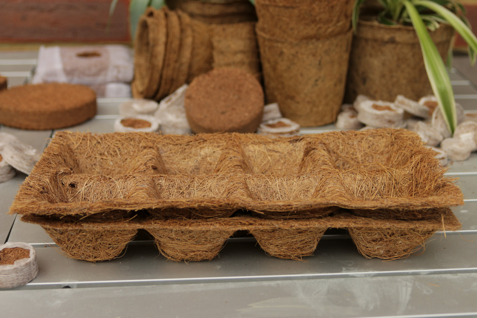 8 Seedling Tray’s Pack Of 5