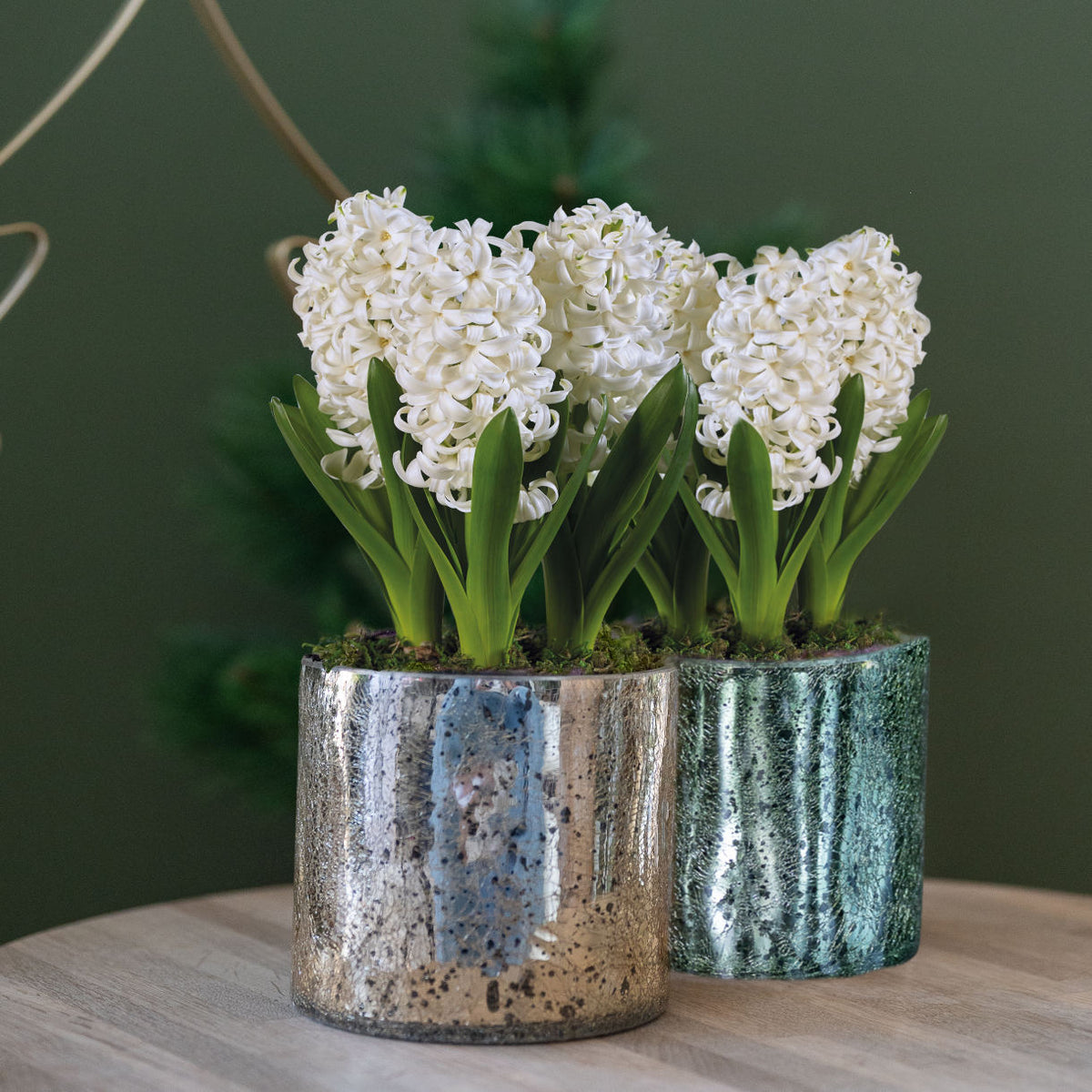 Glitter Vase Duo - Ideal Christmas Gift | Set of 4 | White