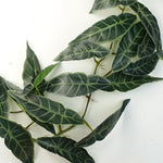 110cm Artificial Hanging Trailing Dark Green  Plant