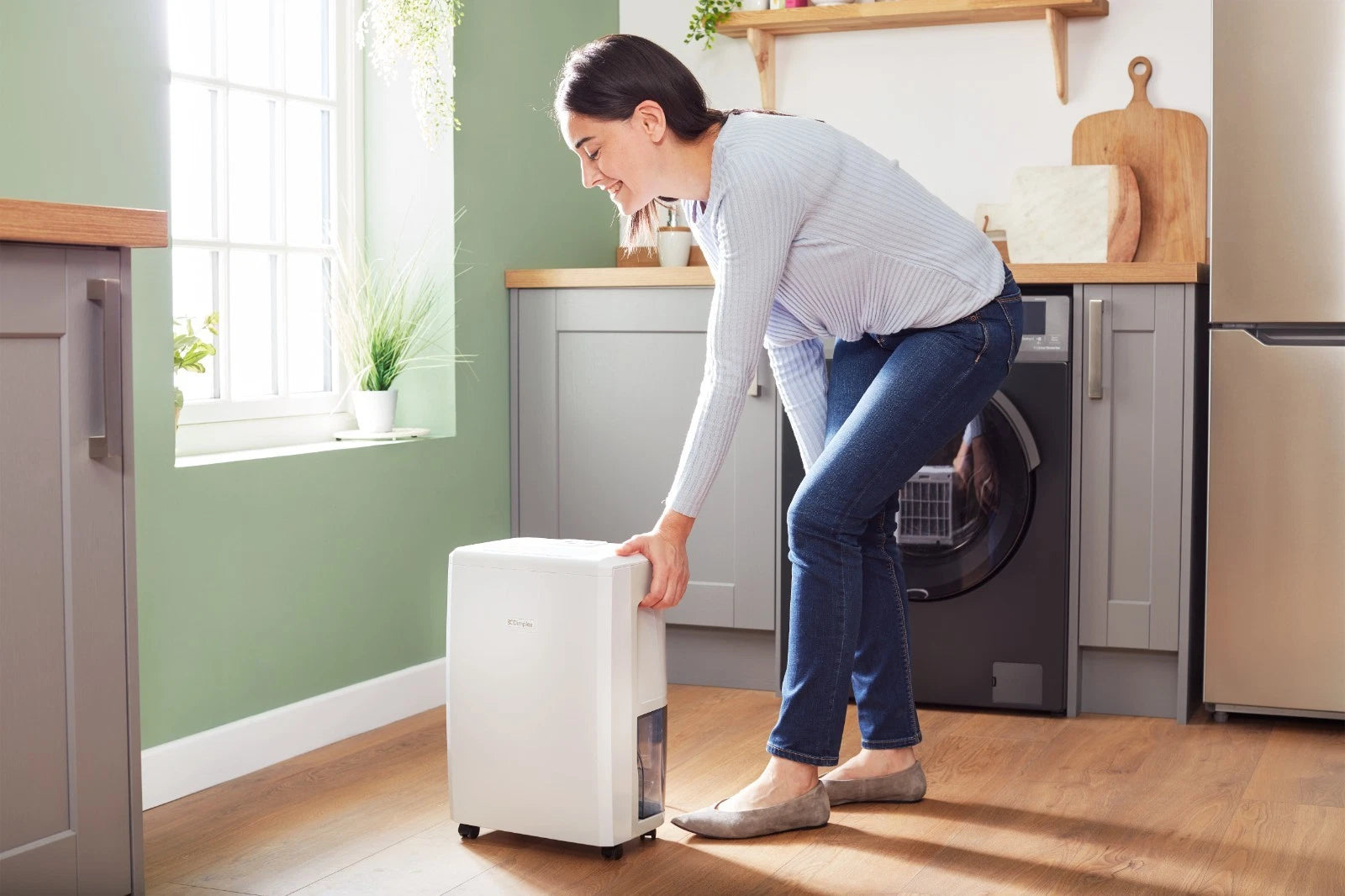 Dehumidifier 10l With Electronic Humidistat & Timer